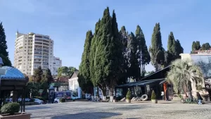 Как сэкономить на отдыхе в Сочи: лайфхаки от профессионала