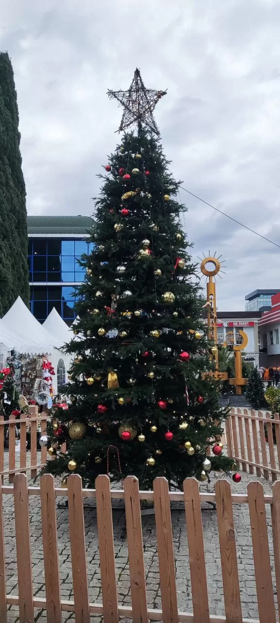 новогодняя елка в сочи