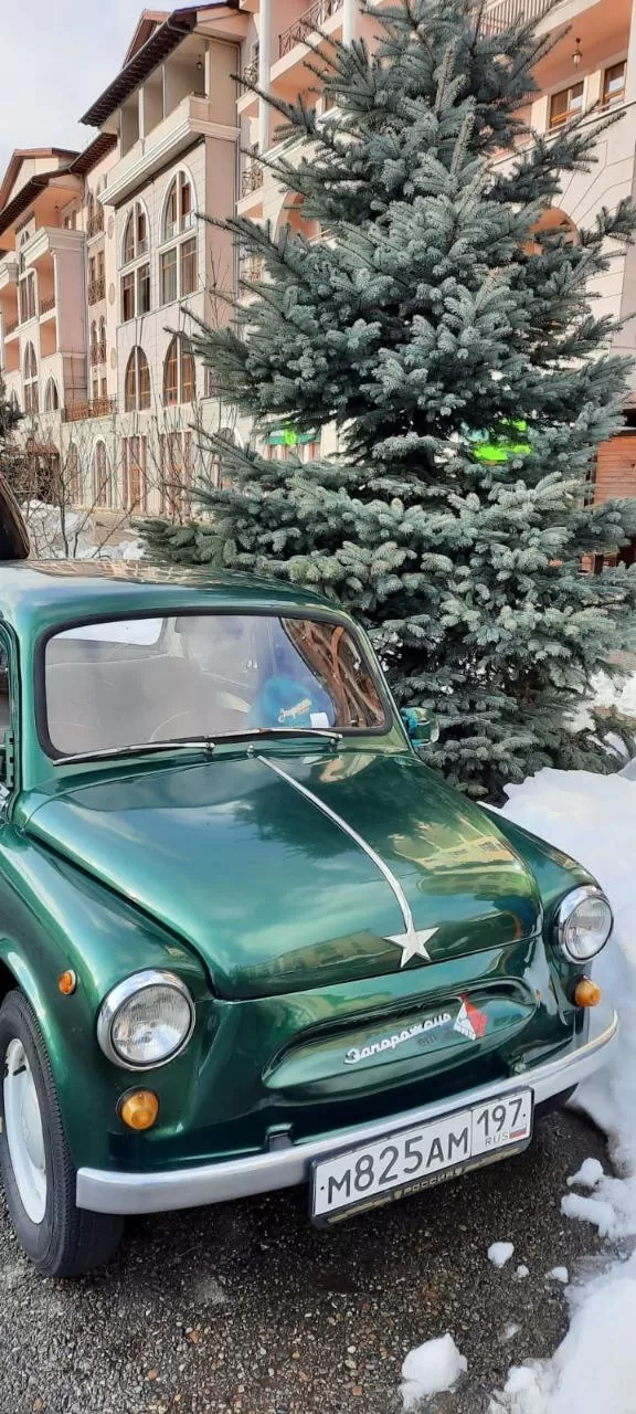 красная поляна в декабре