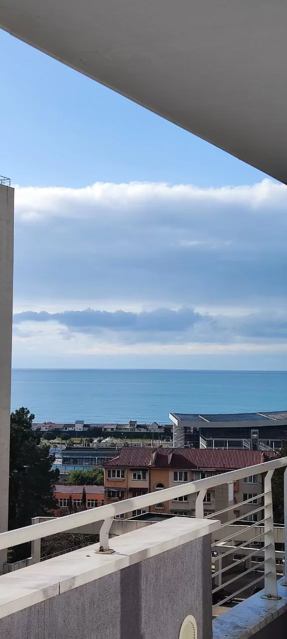 декабрь в Сочи