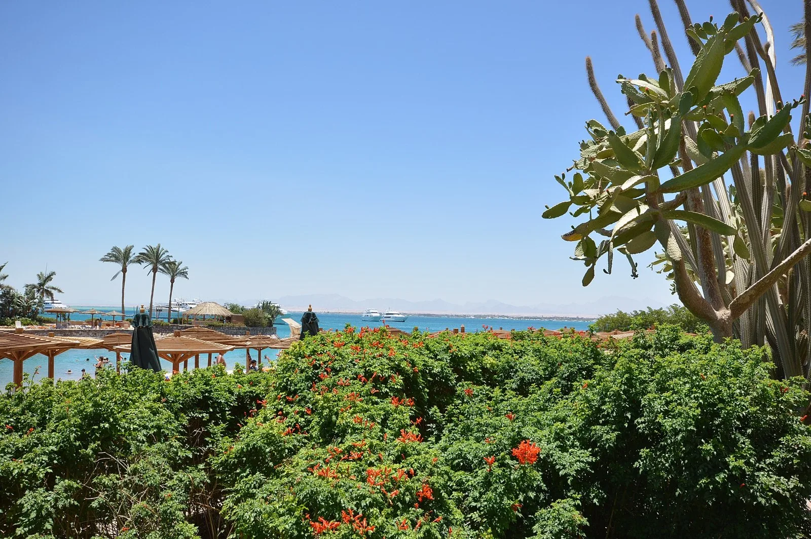 Море у пляжа в бухте Наама-Бей